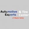 Automotive Experts